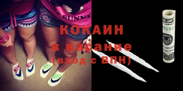 сатива Аркадак