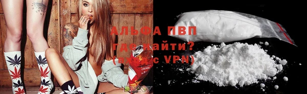 сатива Аркадак