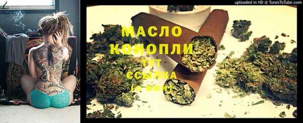 сатива Аркадак